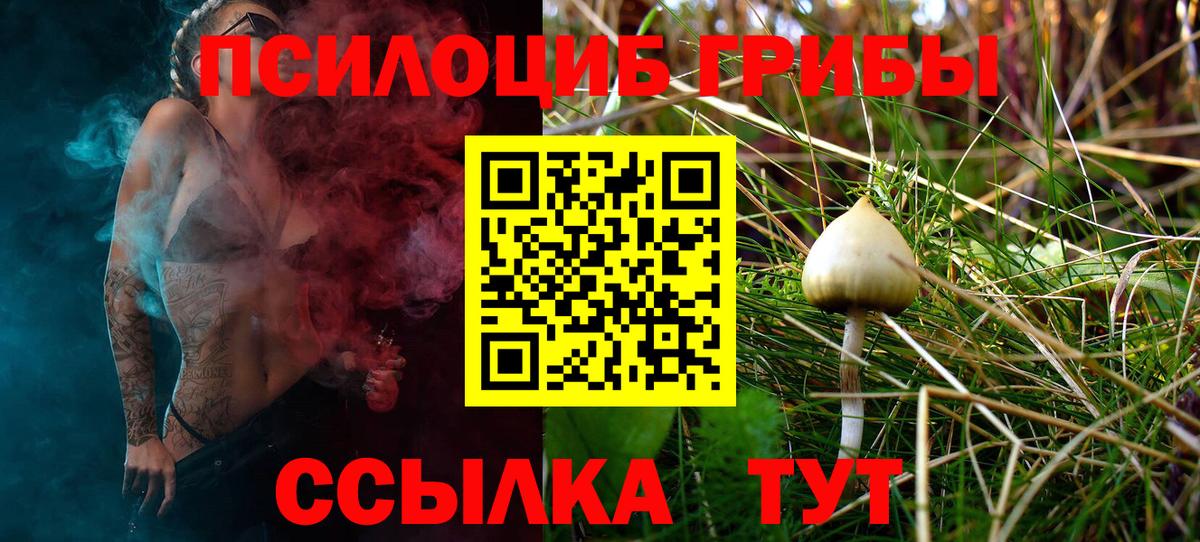 Псилоцибиновые грибы GOLDEN TEACHER Сланцы