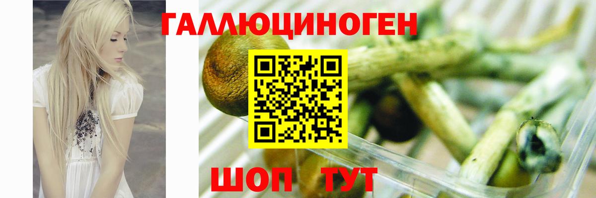 Галлюциногенные грибы GOLDEN TEACHER  Вход с VPN  Сланцы 